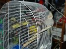 DSC06463.JPG