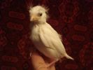 DSC08790.JPG