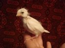 DSC08791.JPG