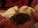 DSC08812.JPG