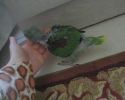 Picture_002.jpg