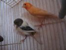 DSC05745.jpg