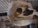 DSC07079.jpg