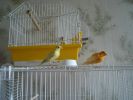 DSC02278.JPG