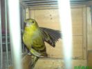 Fitxategia=DSC00163.JPG
Tamaina=19KB
Neurriak=448x336
Igotze data=2009(e)ko Mar(a)ren 14(e)an DSC00163.JPG