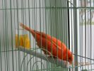 DSCN2628.JPG