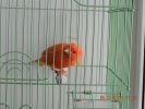 DSCN2633.JPG