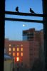 !IMG_2652.jpg