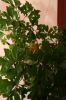_002_resize~0.jpg