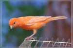IMG_4774.jpg