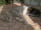 PICT0002.JPG