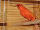IMG_0472.JPG