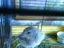DSC00094.JPG