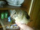 DSC00100.JPG