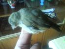 DSC00101.JPG