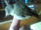 DSC00102.JPG