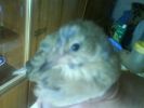 DSC00106.JPG