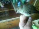 DSC00109.JPG