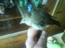 DSC00112.JPG