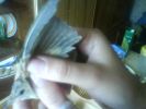 DSC00119.JPG