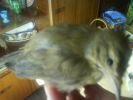 DSC00128.JPG