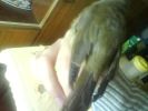 DSC00131.JPG