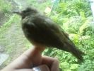 DSC00139.JPG