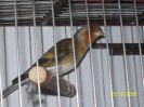 100_2665.JPG