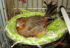 DSC04304.JPG