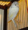 DSC00468.jpg