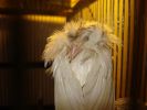 DSC00510.jpg