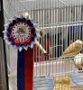 1-DSC_1536.JPG