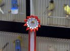 1-DSC_1537.JPG