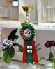 1-DSC_1620.JPG