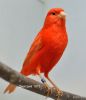 DSC_5189.jpg