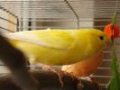 DSC03934.JPG