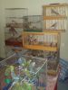 DSC00214.JPG