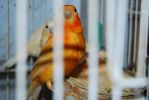 DSC_0029.JPG