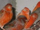 DSCN0287.JPG