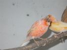 DSCN0290.JPG