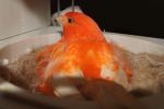 DSC00112.JPG