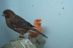 DSC04089.JPG