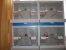 Файл=DSCN1236_новый_размер.JPG
Объём=33КБ
Размеры=533x400
Дата=Апр 10, 2010 DSCN1236_новый_размер.JPG