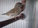DSC04403.JPG