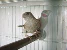 DSC04404.JPG