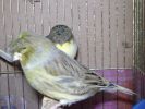 DSC04676_hf.jpg