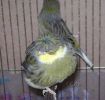 DSC04694_hf.jpg