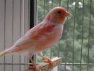DSC05064_hf.jpg