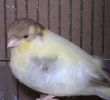DSC05269_hf.jpg