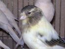 DSC05275_hf.jpg